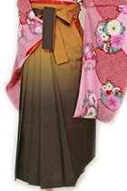 からしぼかしダーク