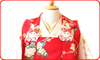 赤被布白菊_sg3c0019