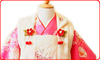白被布P菊_sg3c0027