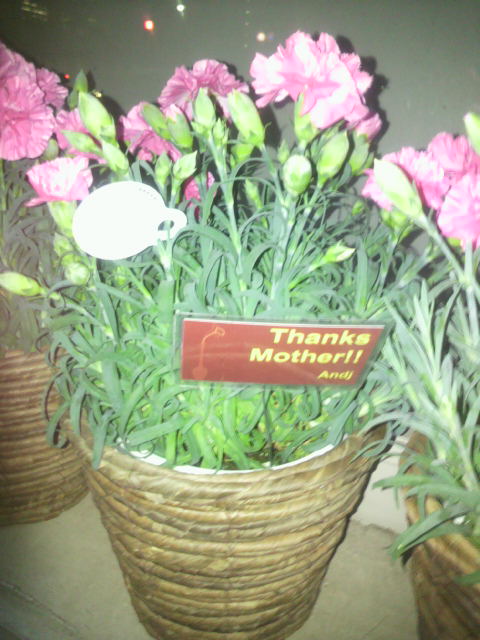 2011050619100000.jpg