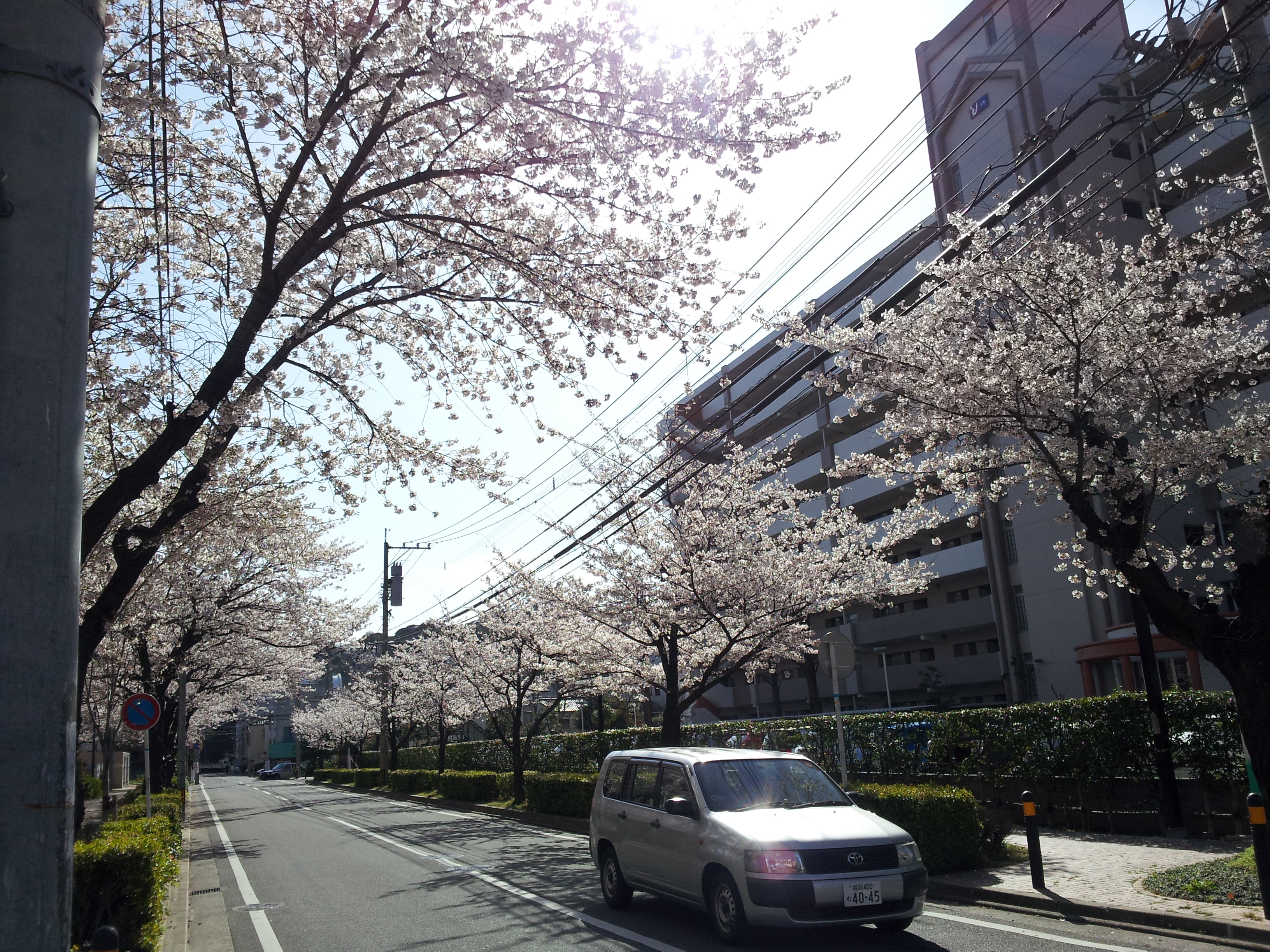 20120401_091242.jpg