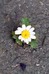 SN3J0031.jpg