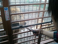 2011-11-12 13.50.06.jpg