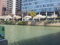 20120404_103854.jpg