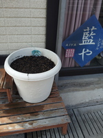 20120423_152508.jpg