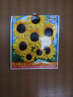 20120423_152558.jpg