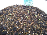 20120430_135619.jpg
