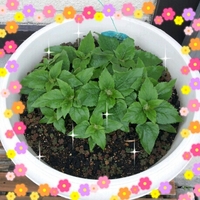 2012-05-25_12.41.26.jpg