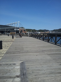 20130508_141333.jpg