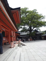 20130517_113737.jpg
