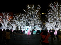 20131124_211405.jpg