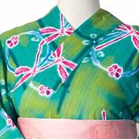 wakakusa_dragonfly上半身向上