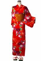 kiku_various_red