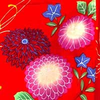 kiku_various_red袖子