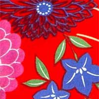 kiku_various_red材料