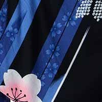 feather_cherry_black袖子