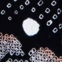 shibori_black_rose材料