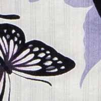 butterfly材料