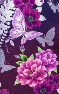 青紫花蝶