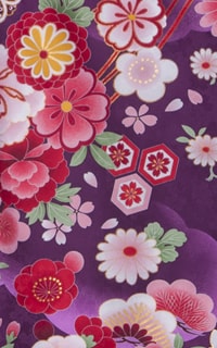 亀甲桜紫