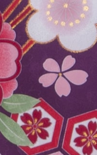 亀甲桜紫