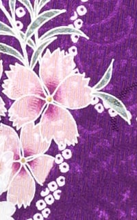 紫花輪