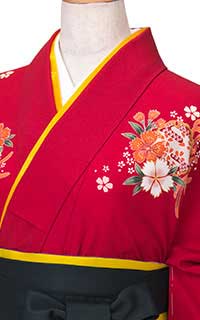 赤菊