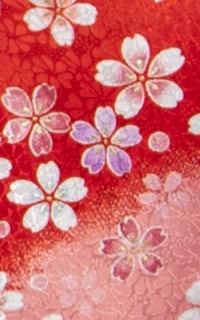 赤舞桜