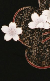 黒桜