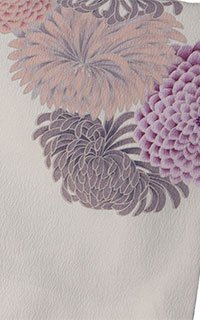 紫ベージュ菊