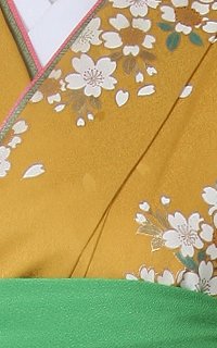 黄桜と蝶Details2