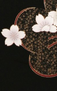 黒桜Details1