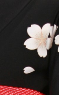黒桜Details2
