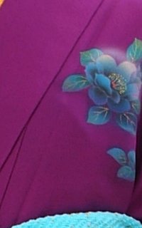 紫　牡丹