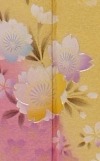 黄金Ｐ桜Details3