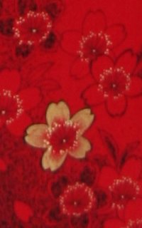 赤Ｇ桜Details1