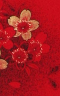 赤Ｇ桜Details3