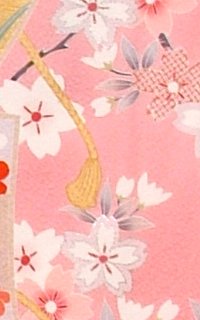 Ｐのし桜Details1