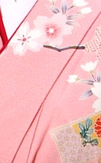 Ｐのし桜Details2