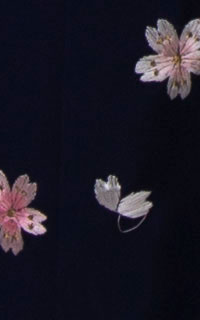 紺小桜刺しゅう