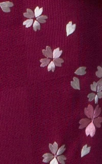 赤紫市松小桜