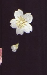 明ワインぼかし刺