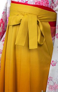 芥子ぼかし桜