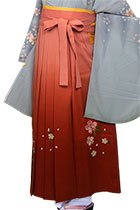OJぼかし桜