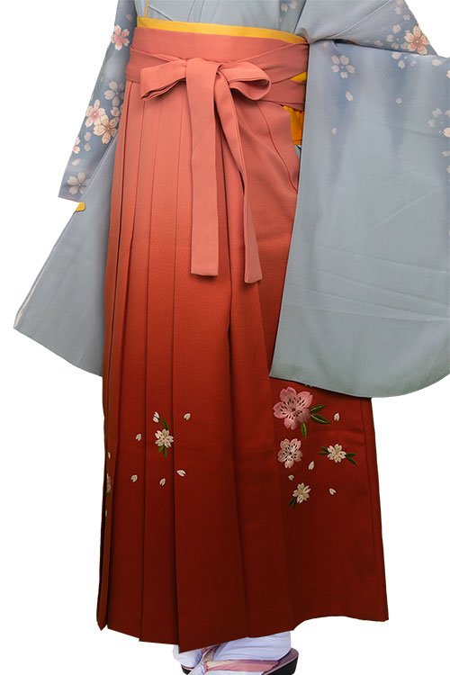 OJぼかし桜