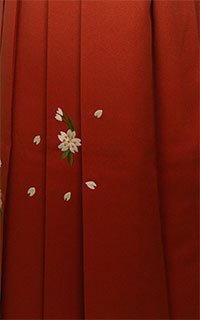 OJぼかし桜