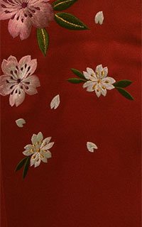 OJぼかし桜