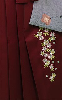 えんじ縦桜