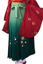 若草ぼかし桜