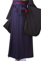 ネイビーストライプ